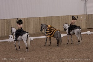 Lusitano Breed Society of Great Britain Show - Hartpury College - 27th June 2009